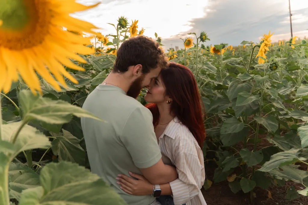 Bruno e Fernanda abraçados, testa com testa, num campo de girassóis